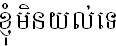 kh'nyohm muhn yuhl te (I don't understand in Khmer)