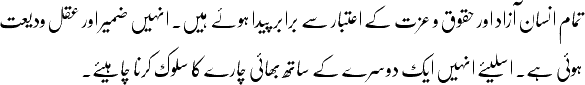 تمام انسان آزاد اور حقوق و عزت کے اعتبار سے برابر پیدا ہوۓ ہیں۔ انہیں ضمیر اور عقل ودیعت ہوئی ہے۔ اسلیۓ انہیں ایک دوسرے کے ساتھ بھائی چارے کا سلوک کرنا چاہیۓ۔