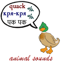 Animal sounds - ducks