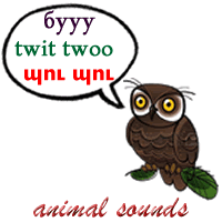 Animal sounds - owl