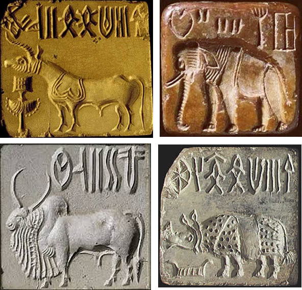 Examples of Indus/Harappa symbols