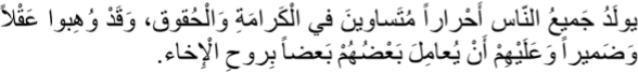 يُولَدُ جَمِيعُ النَّاس أحْرَاراً مُتَسَاوِينَ فِي الْكَرَامَةِ وِالحُقُوقِ. وِقَدْ وُهِبُوا عَقْلاً وَ ضَمِيراً وَ عَلَيهِمْ أنْ يُعَامِلَ بَعْضُهُمْ بَعْضاً بِرُوحِ اَلإخَاء.