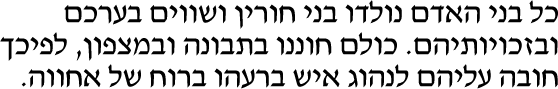 Sample text in Hebrew