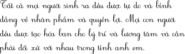 writing in vietnamese