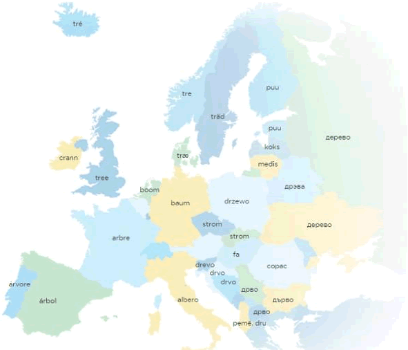 Tree in various European languages