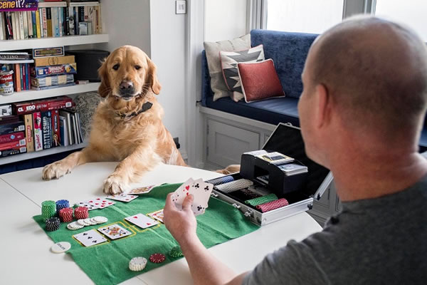 Daryl and Parker playing cards