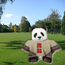 A panda in a poncho in a park