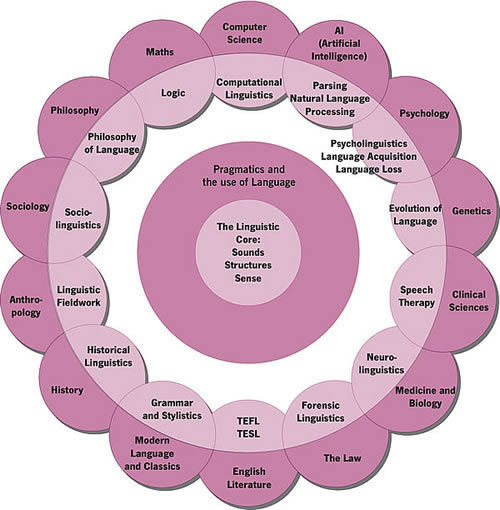 an illustration of the many overlaps between linguistics and other fields