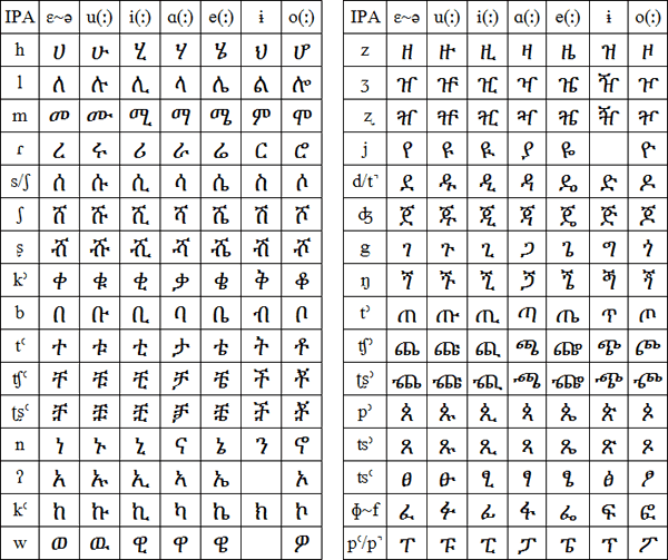 Dizin script and pronunciation