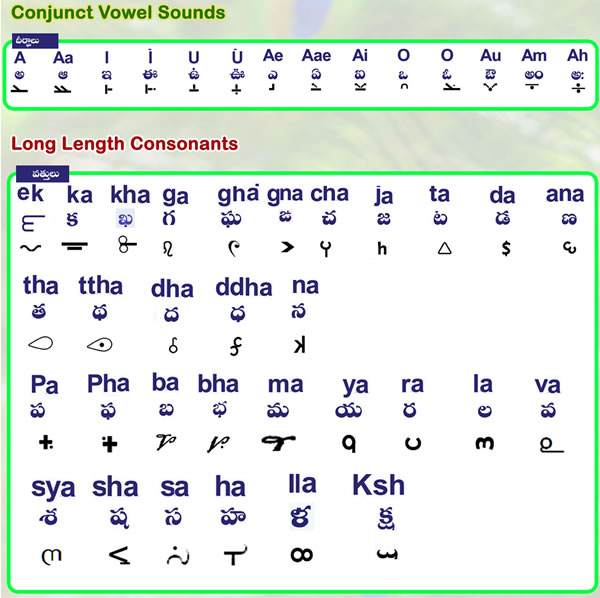 Gondi vowel diacritics and long consonants