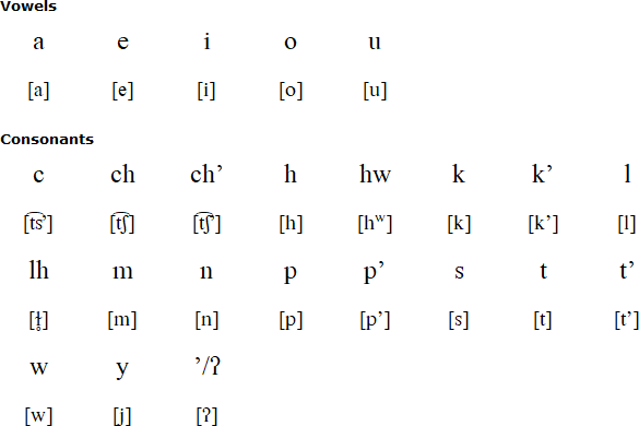 Iyo'wujwa Chorote alphabet and pronunciation