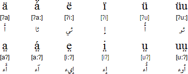 Glottal stops in the Latin Arabic alphabet