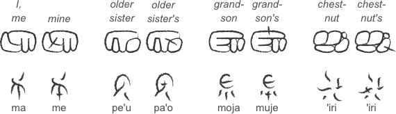Pseudoglyphs vowel harmony