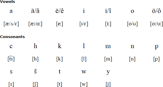 Latin alphabet for Swampy Cree