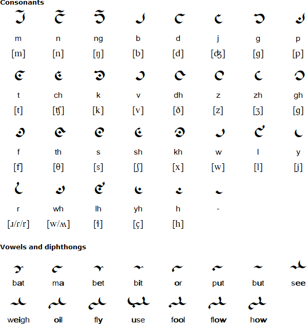 Tung Script